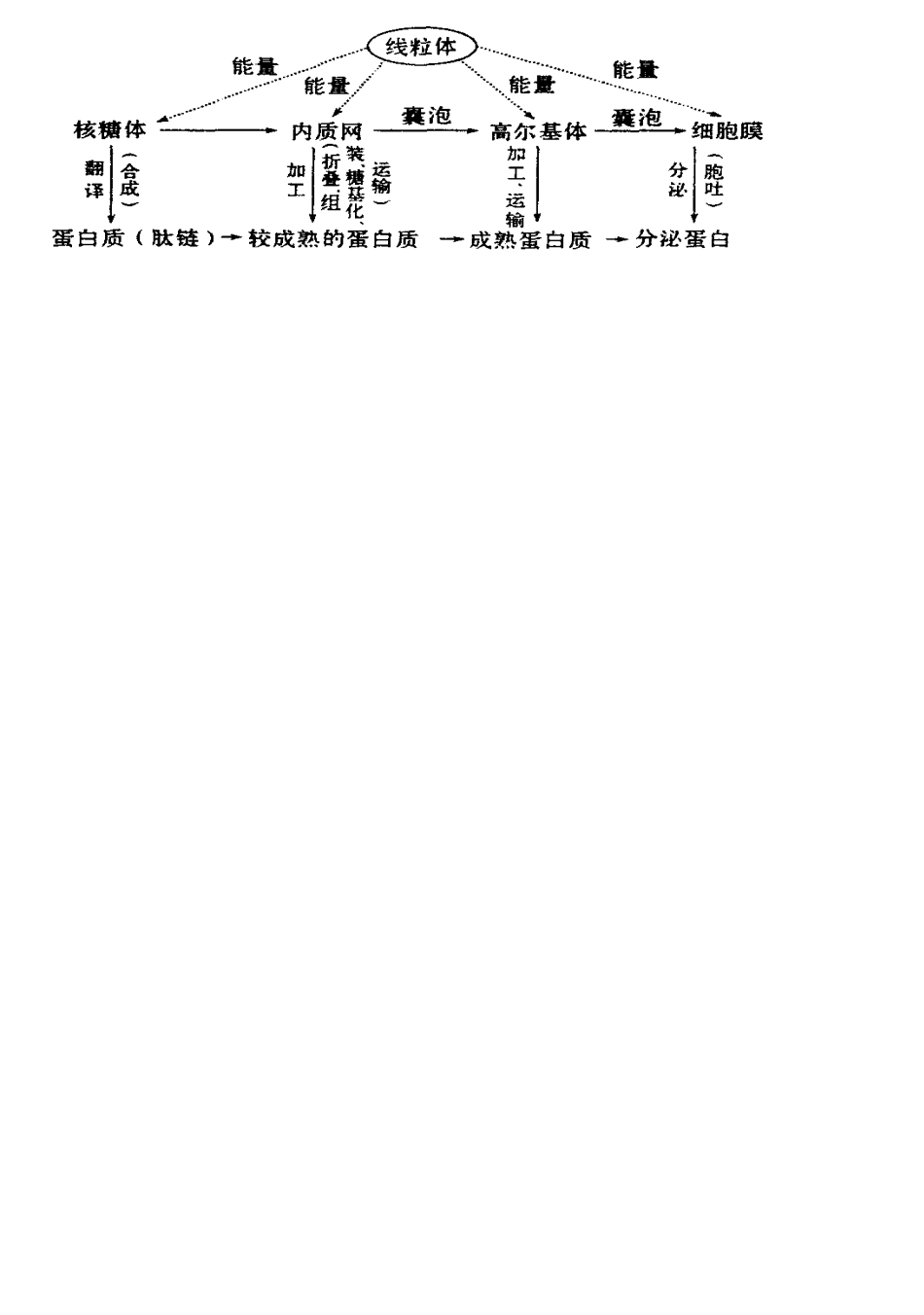 光合作用异同点_第2页