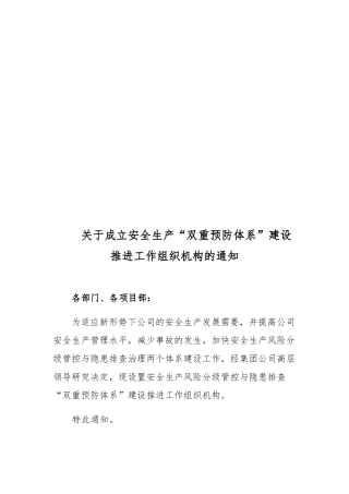 关于成立安全生产“双重预防体系”建设推进工作组织机构