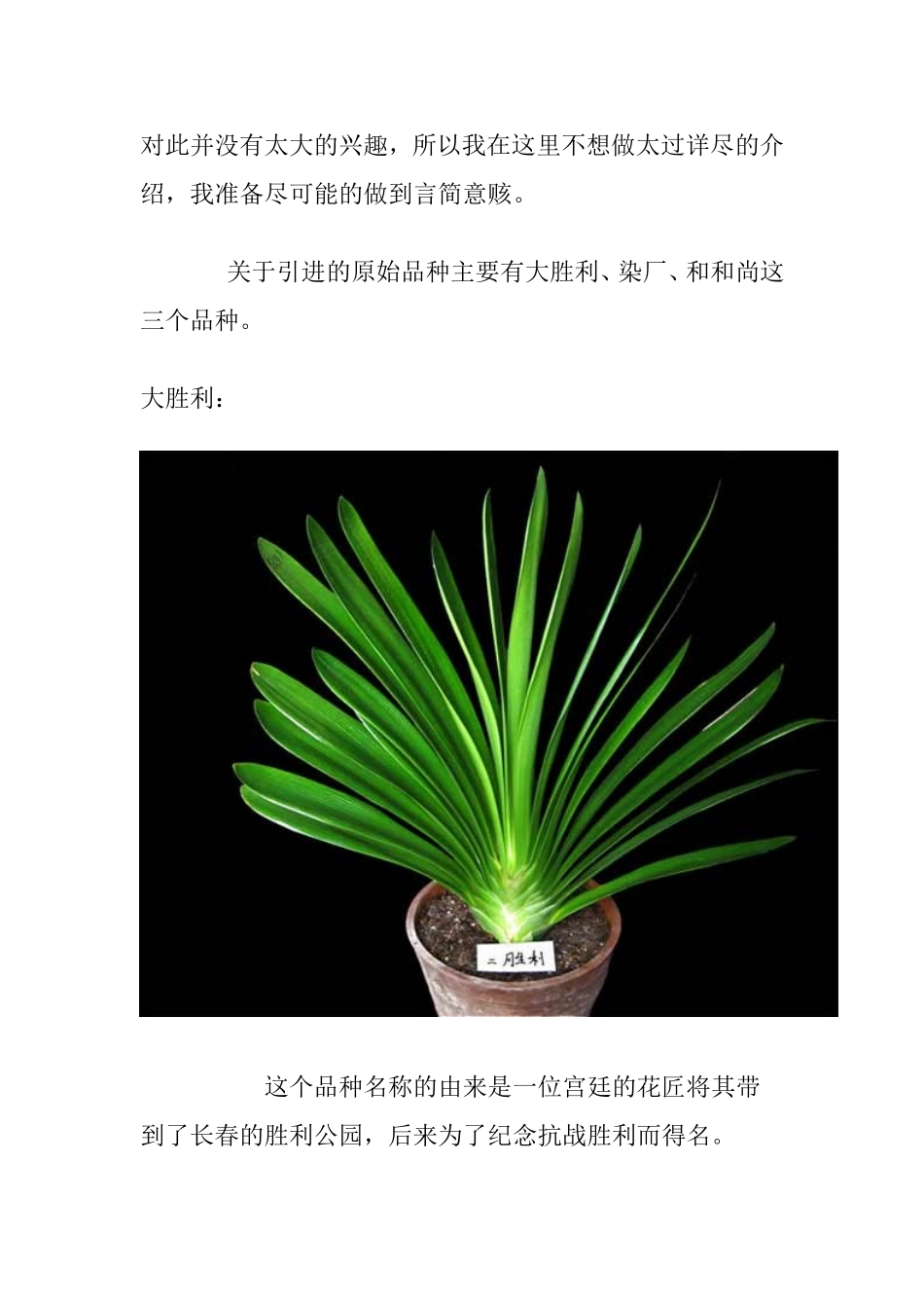 君子兰植物知识点梳理汇总_第2页