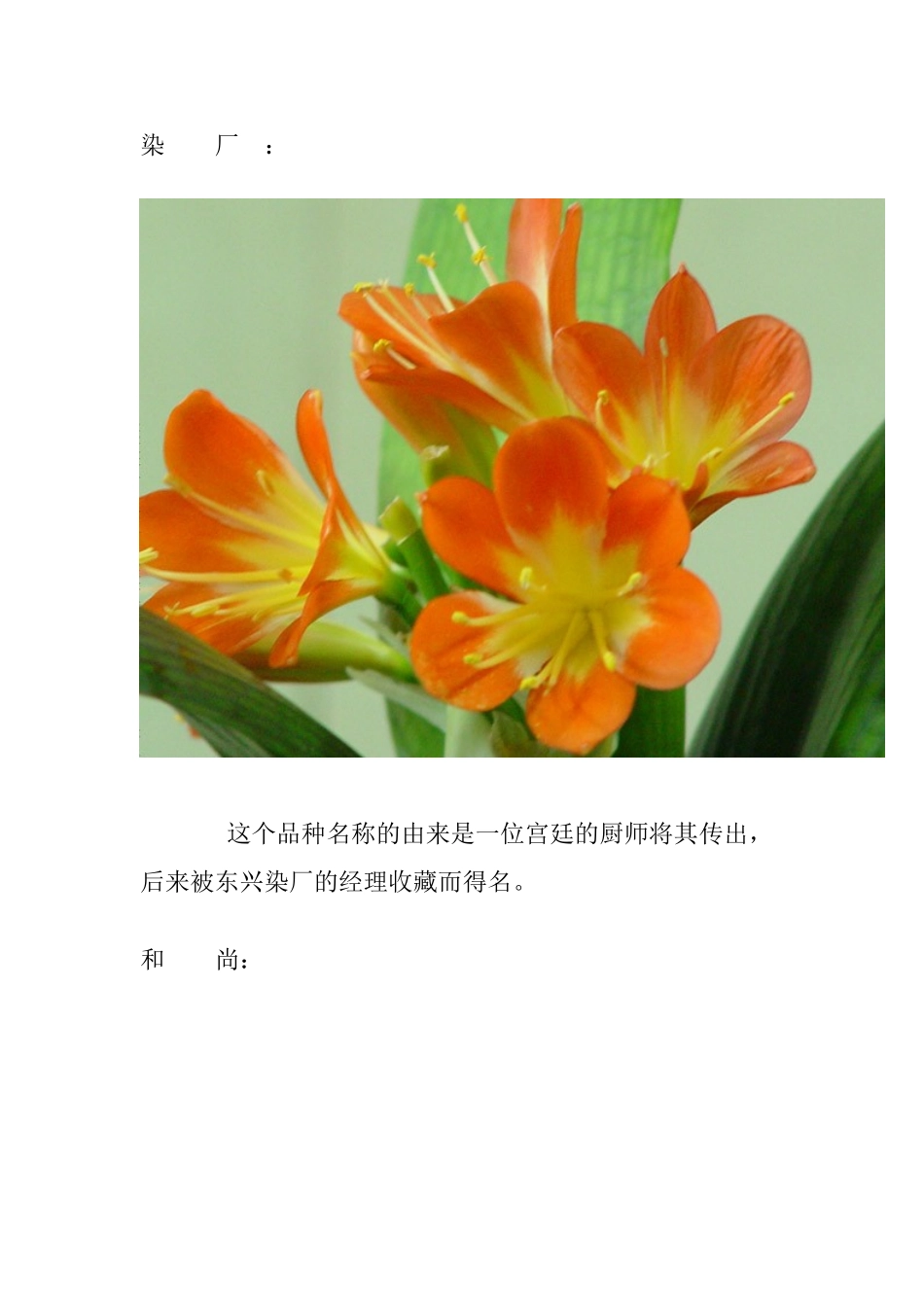 君子兰植物知识点梳理汇总_第3页
