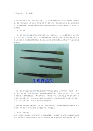 兰花病害大全（图文并茂）