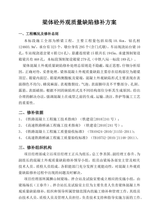 梁体砼外观质量缺陷修补方案