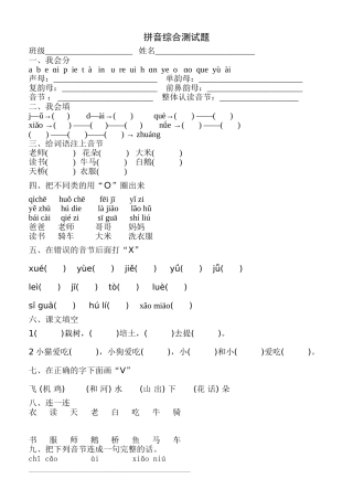 拼音综合测试题