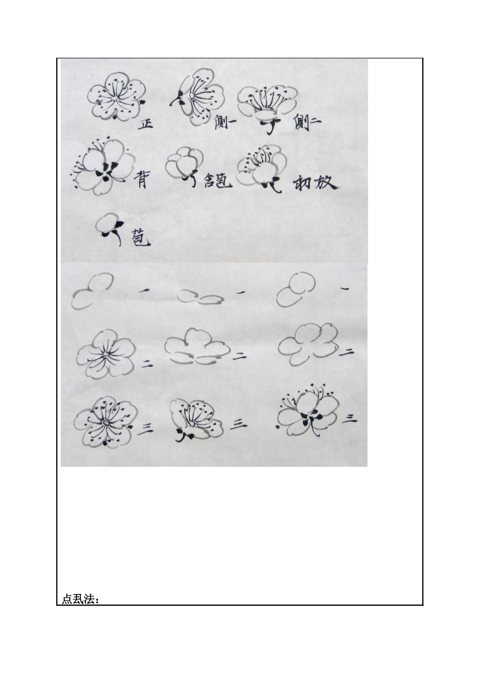 梅花的学习国画班 教学设计_第3页
