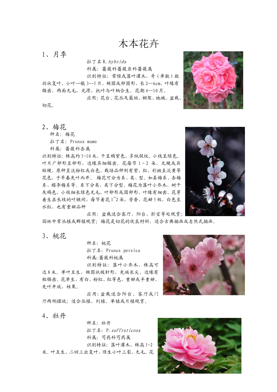 木本花卉知识点梳理汇总_第1页