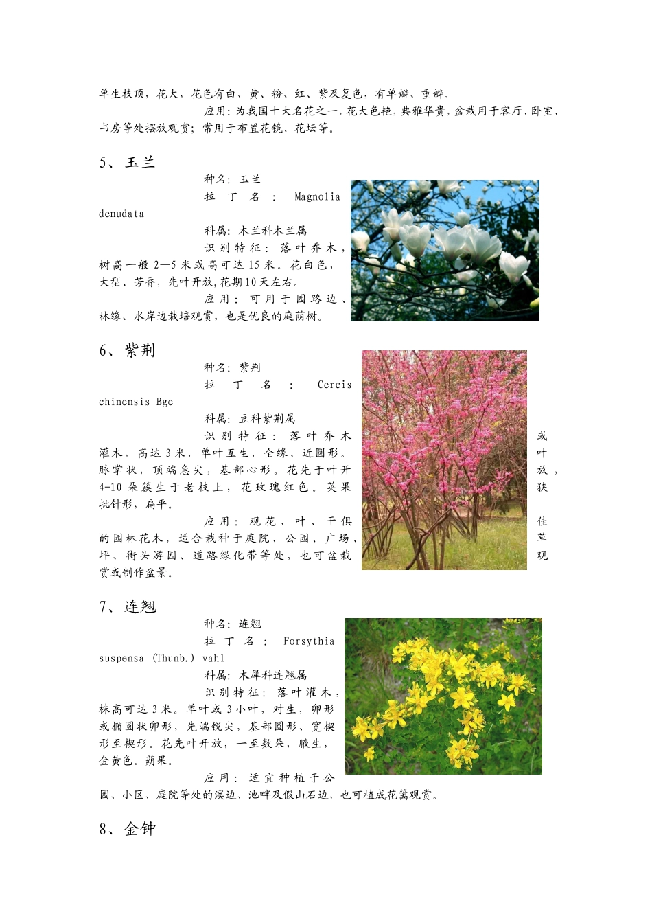 木本花卉知识点梳理汇总_第2页