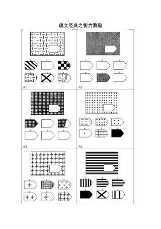 瑞文经典之智力测验