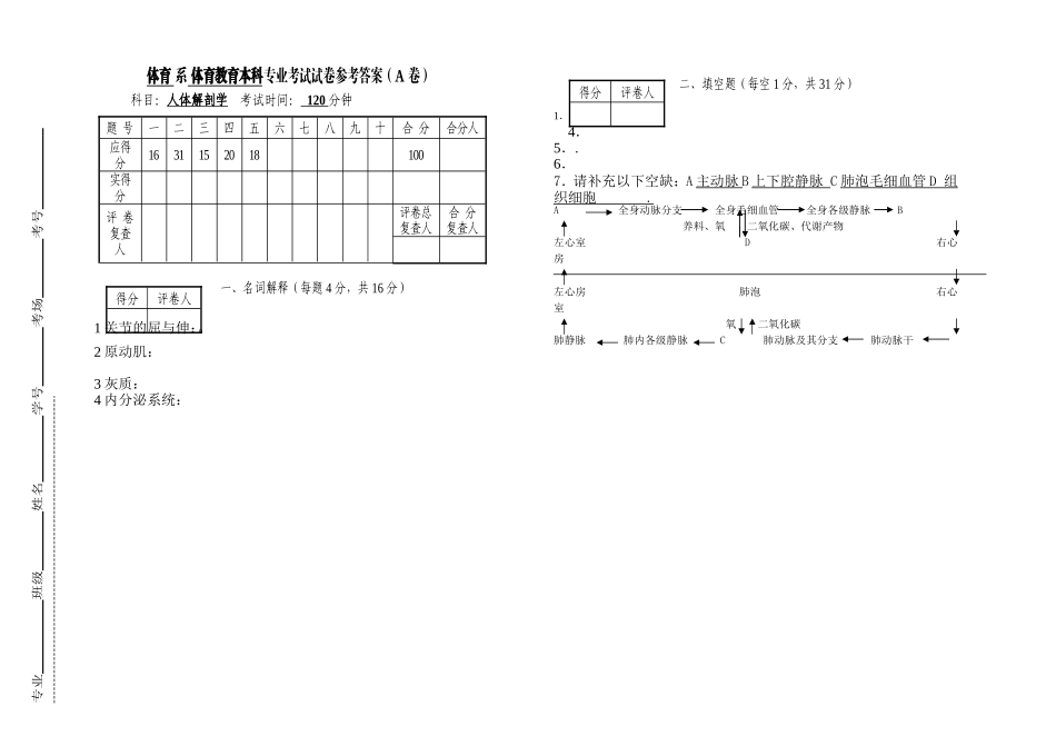 体育系体育教育本科专业人体解剖学考试试卷参考答案_第1页