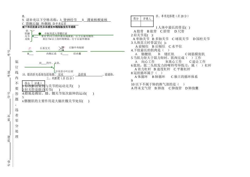 体育系体育教育本科专业人体解剖学考试试卷参考答案_第2页