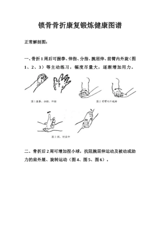 锁骨骨折康复锻炼健康图谱