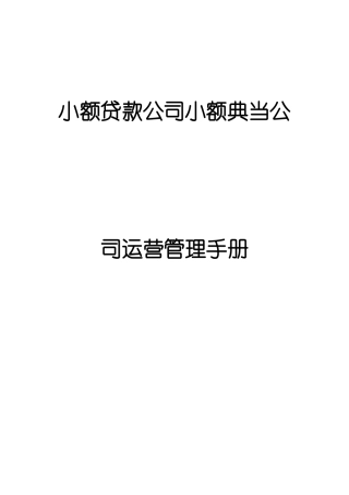 小额贷款公司小额典当公司运营管理手册