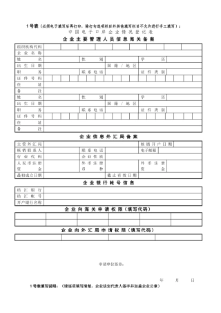 中国电子口岸企业情况登记表