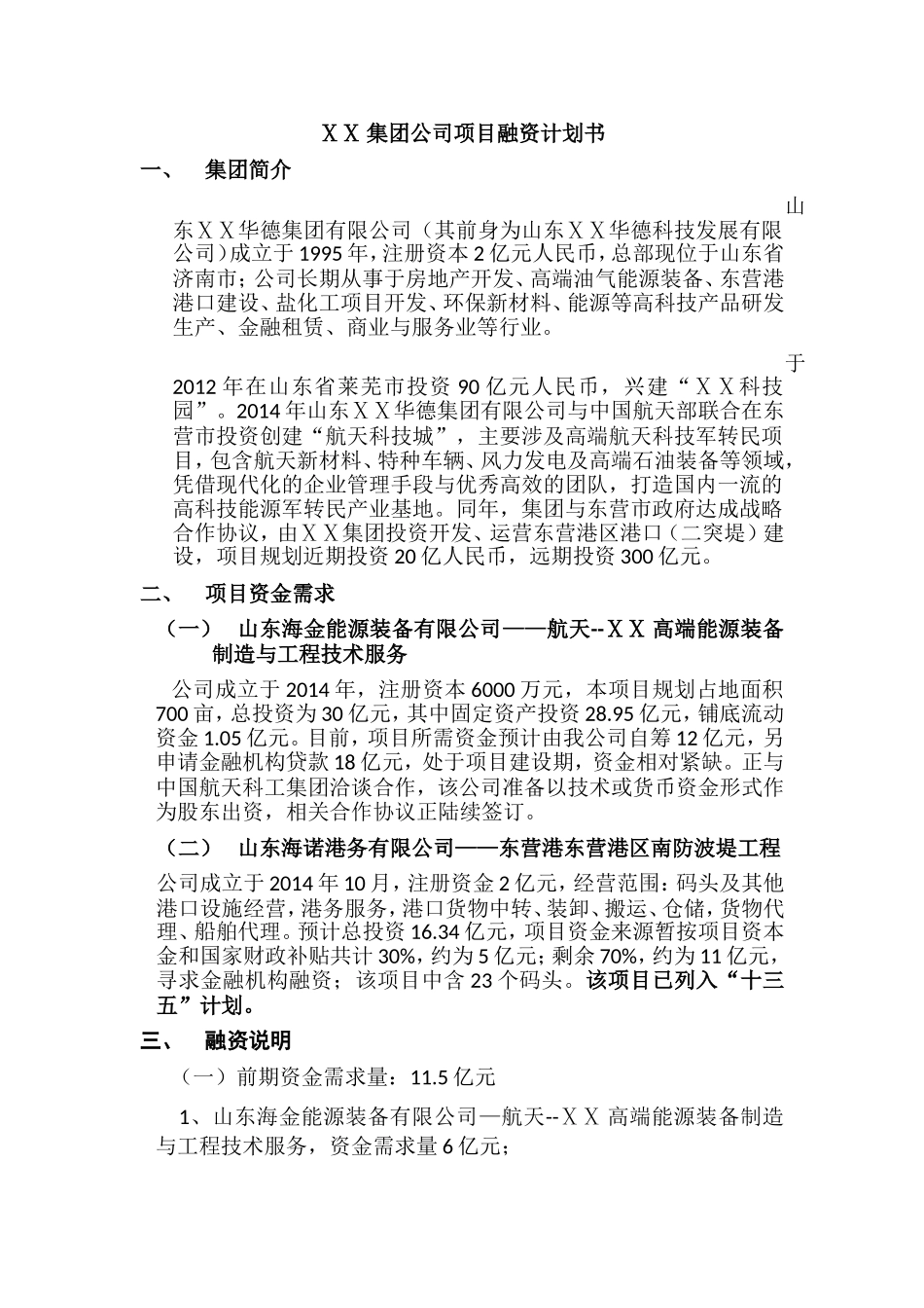 ⅩⅩ集团公司项目融资计划书_第1页