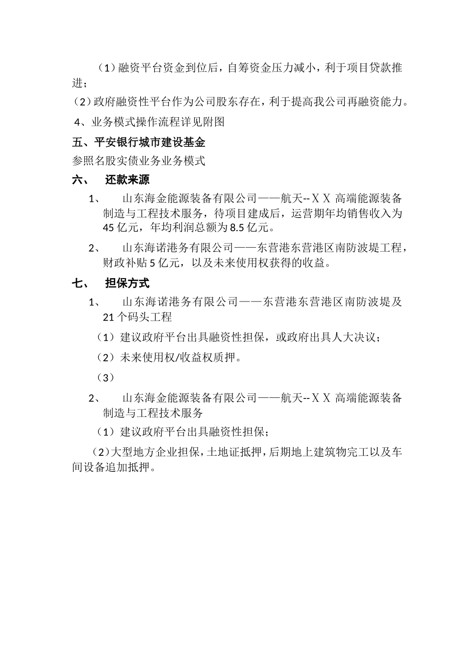 ⅩⅩ集团公司项目融资计划书_第3页