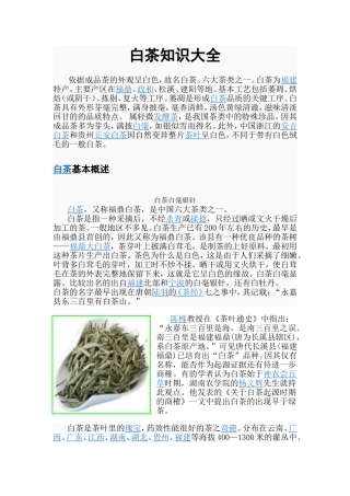 白茶知识大全