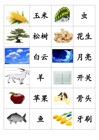 幼儿人事识字卡