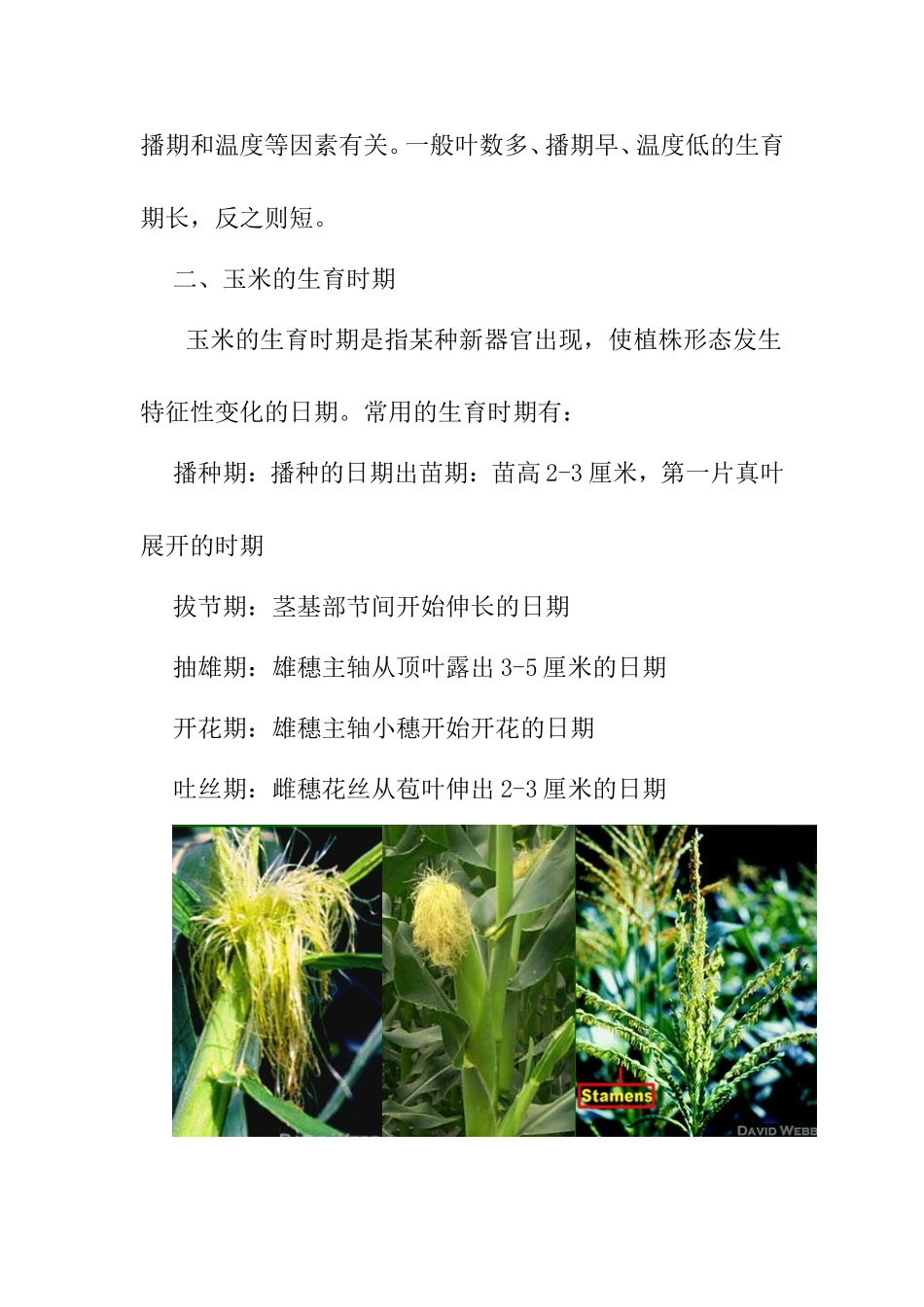 玉米的生长和发育 教学设计_第2页