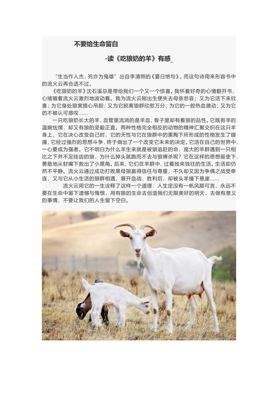 不要给生命留白 读《吃狼奶的羊》有感_第1页