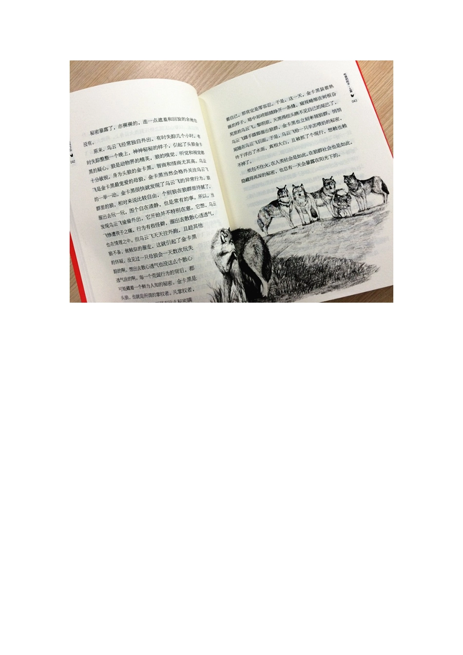 不要给生命留白 读《吃狼奶的羊》有感_第2页