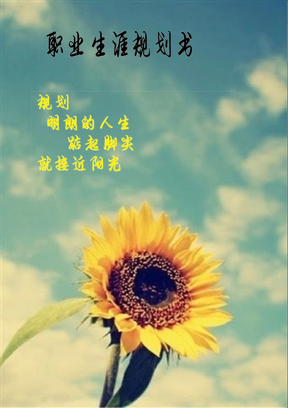 大学生职业生涯策划书_第1页