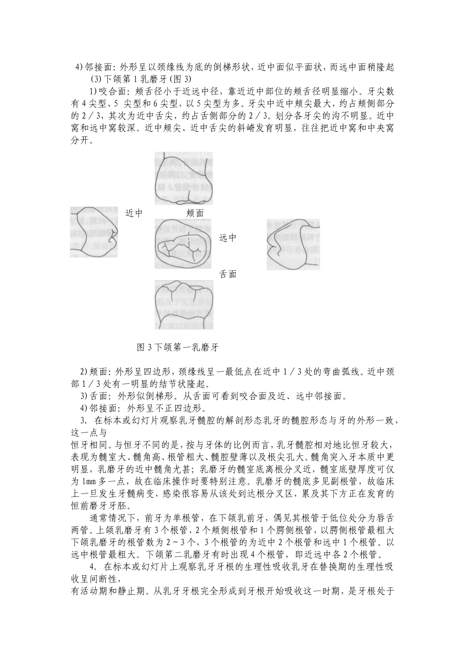 儿童口腔医学实验指导_第3页