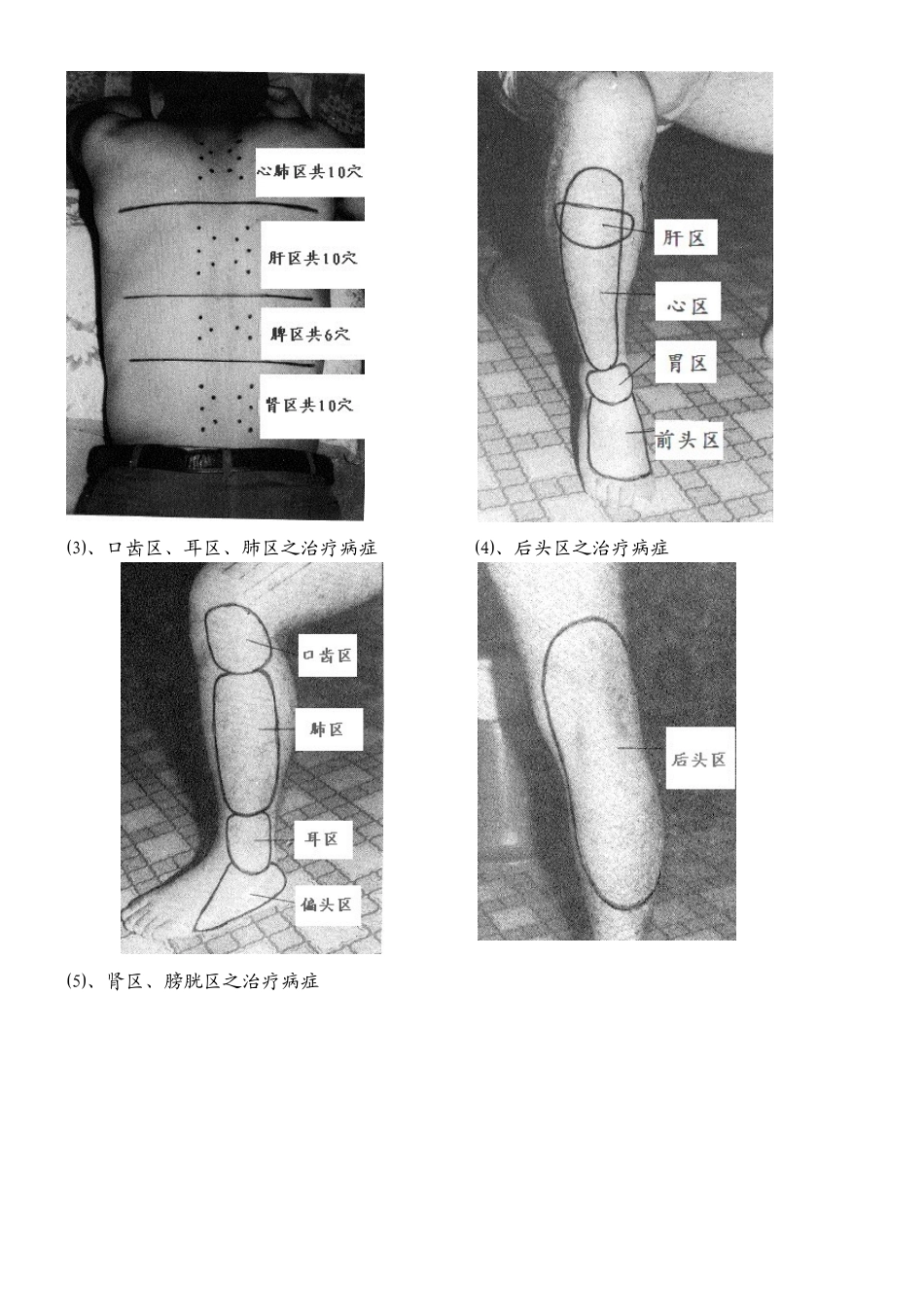 董氏针灸全集验证_第3页
