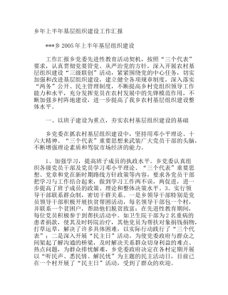 乡年上半年基层组织建设工作汇报