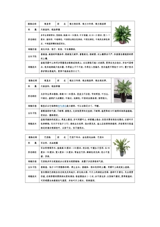 银王亮丝草、银王万年青、银王粗肋草 中药性质