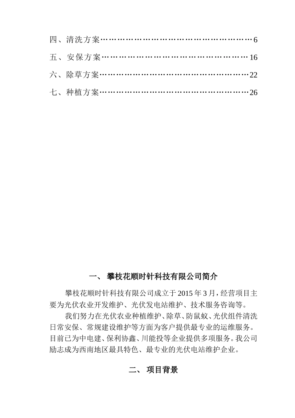 光伏电站综合维护方案_第2页