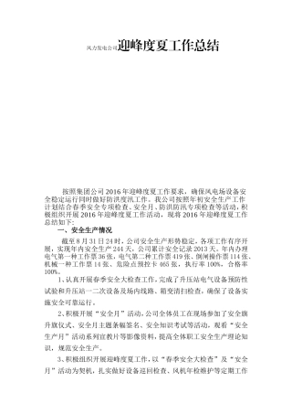 风力发电公司迎峰度夏工作总结