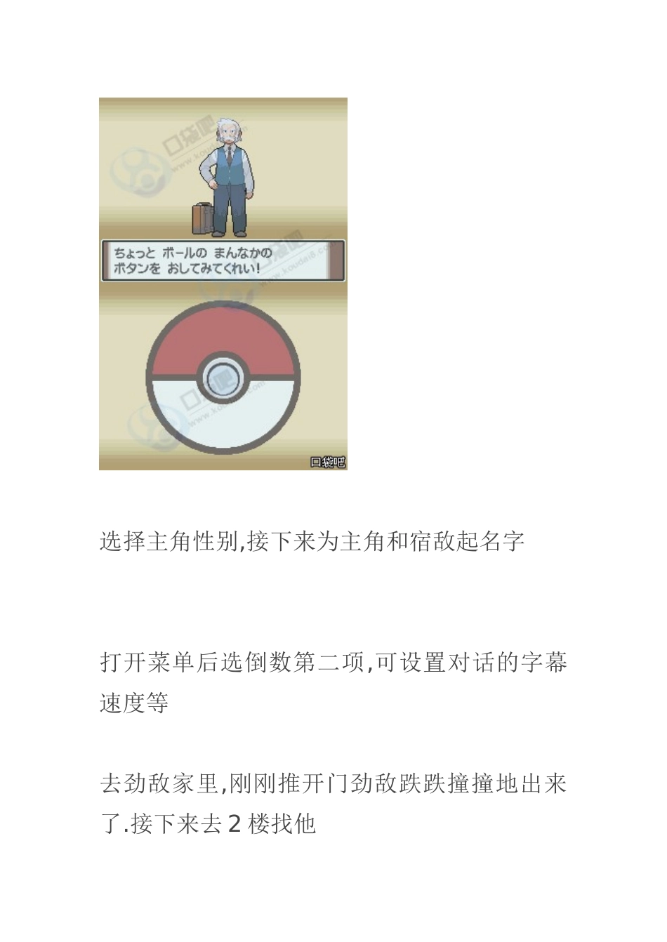 口袋妖怪白金图文攻略_第2页