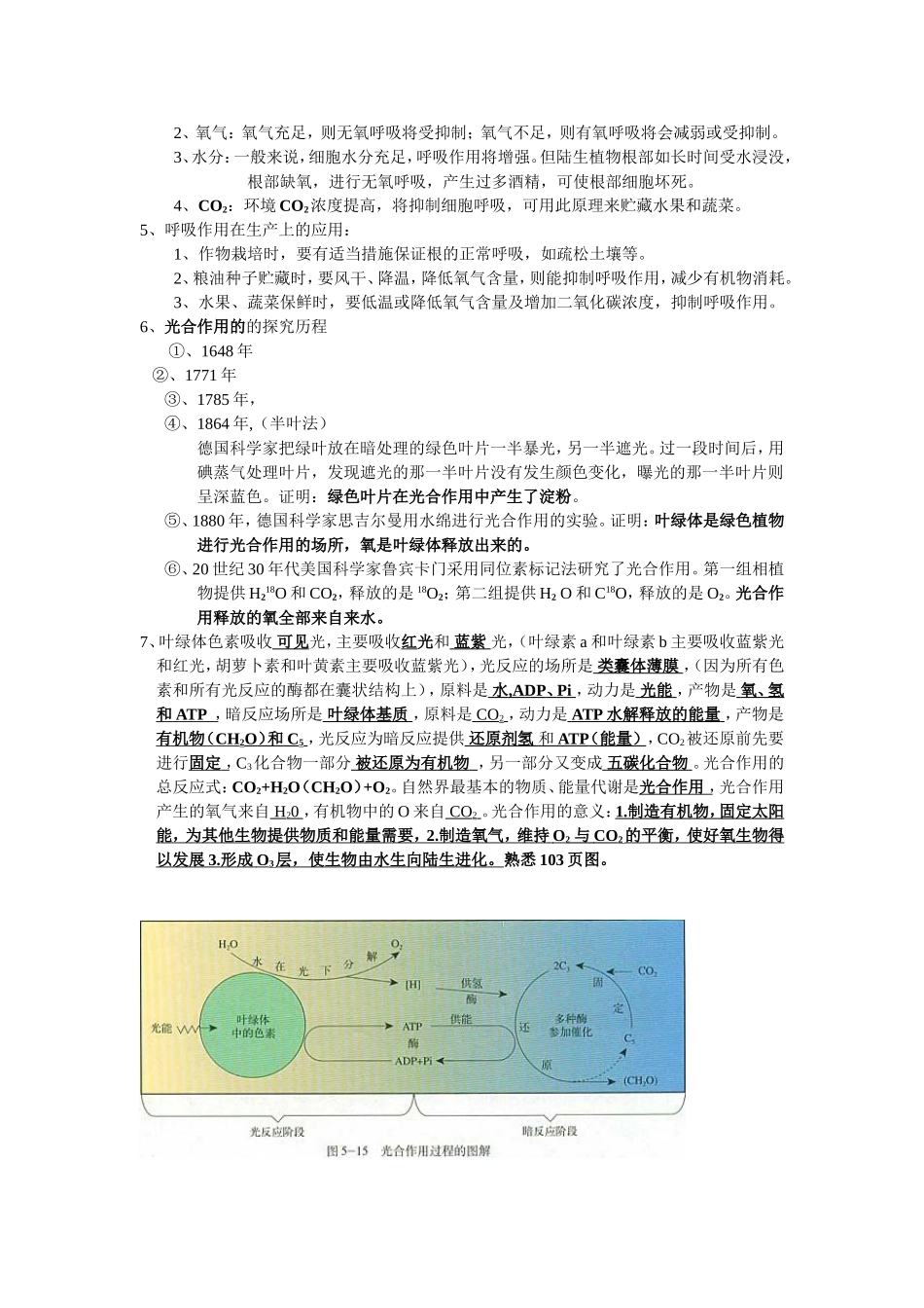 呼吸作用与光合作用测试练习题_第2页