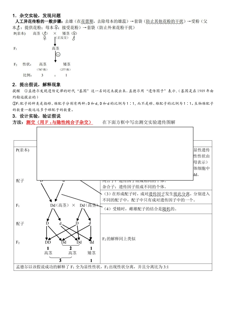 孟德尔的豌豆杂交实验知识点总结_第2页
