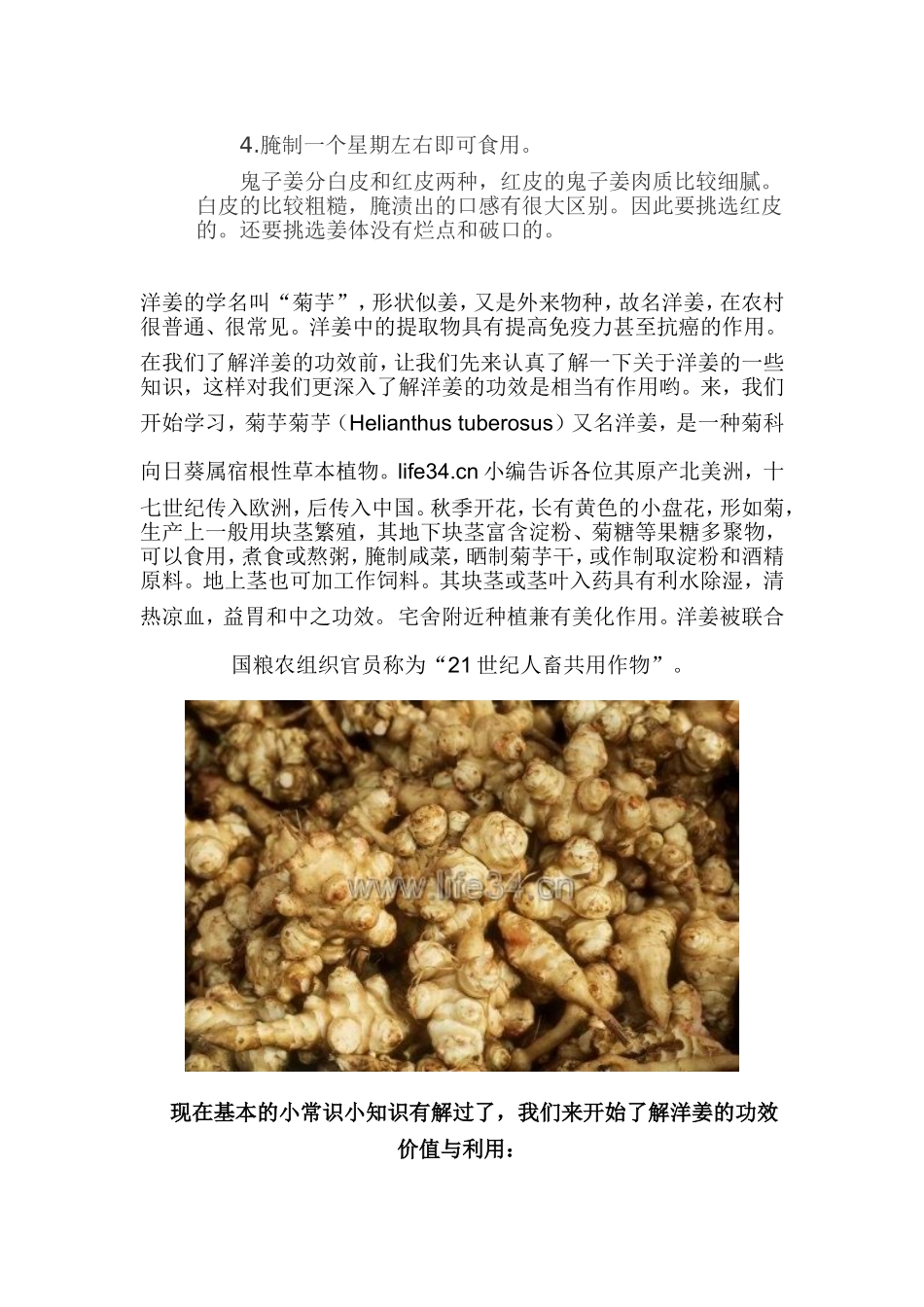 鬼子姜的功效与作用_第2页