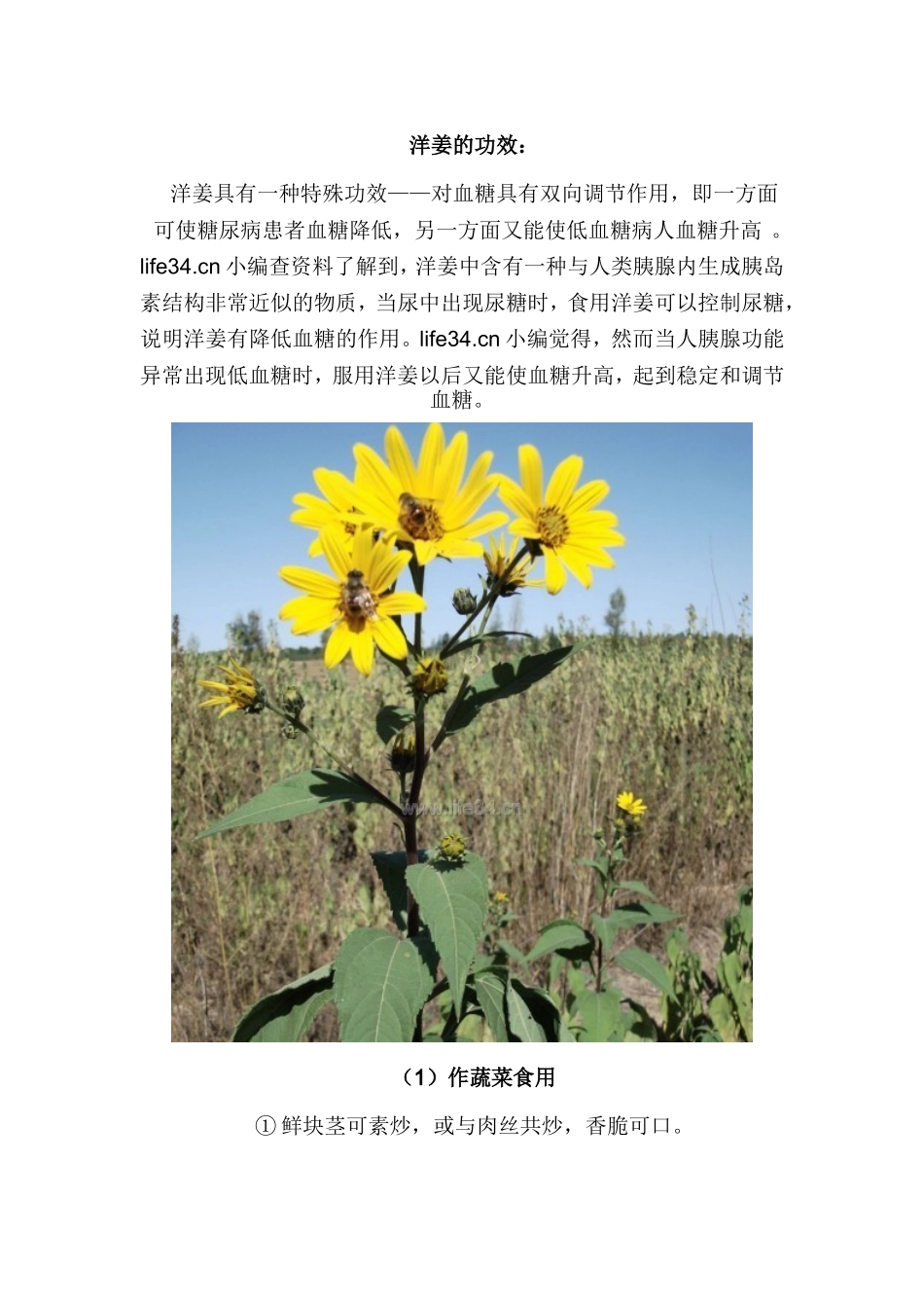 鬼子姜的功效与作用_第3页