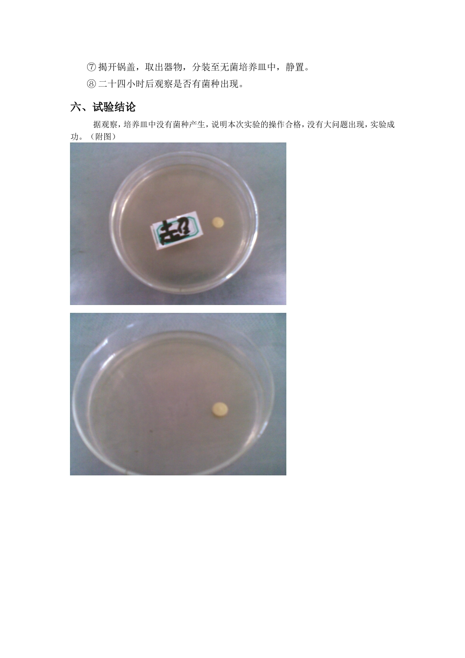牛肉膏蛋白胨培养基的制备与灭菌_第3页