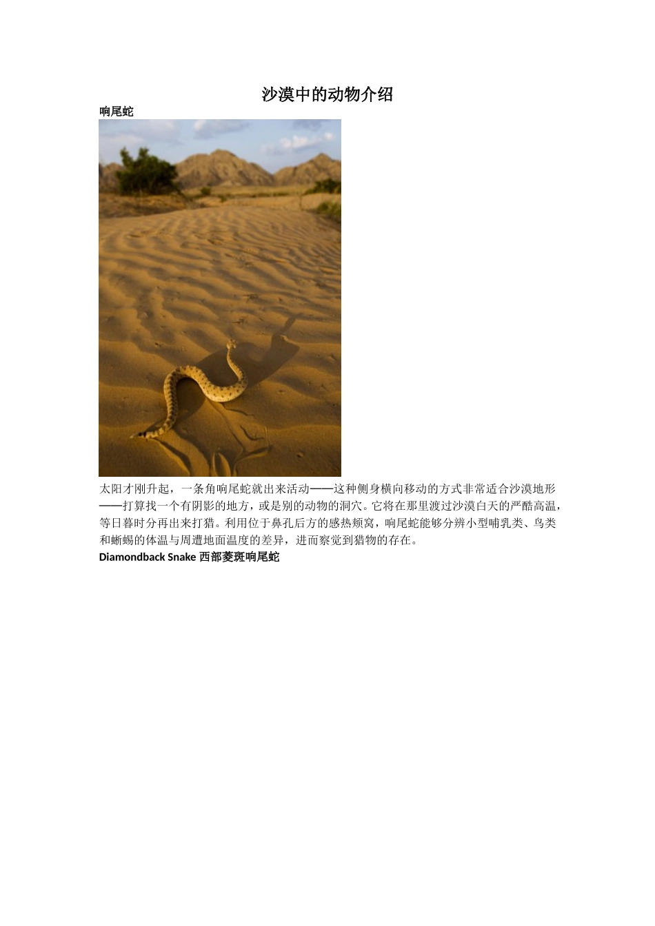 沙漠中的动物介绍_第1页
