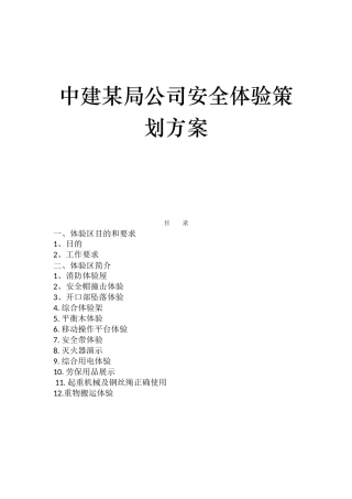 中建某局公司安全体验策划方案