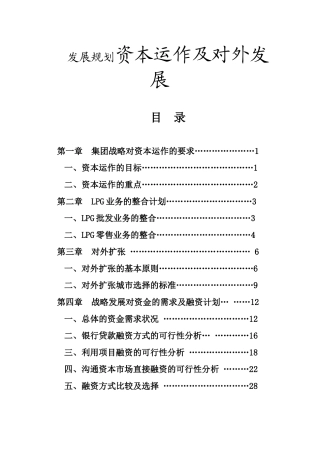 燃气集团有限公司发展规划资本运作及对外发展