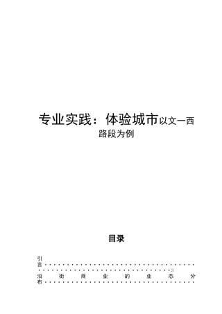 专业实践：体验城市以文一西路段为例