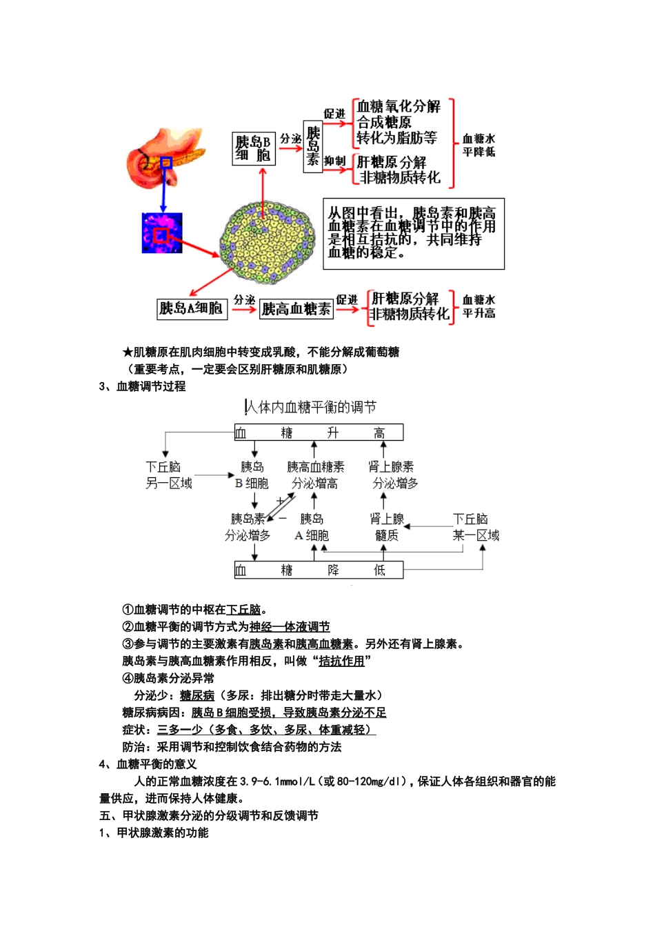 通过激素的调节 知识点梳理汇总_第2页