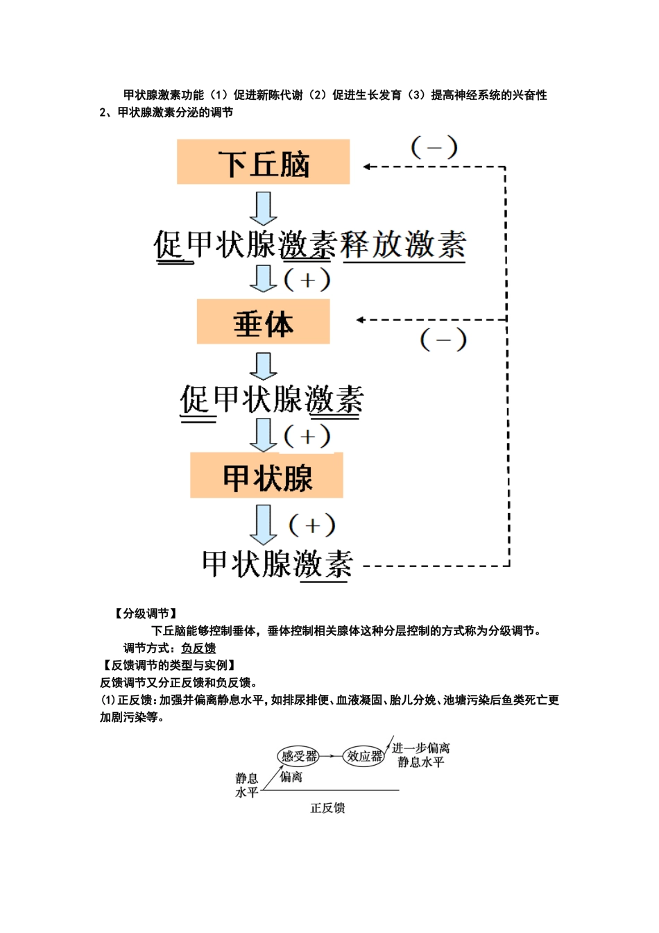 通过激素的调节 知识点梳理汇总_第3页