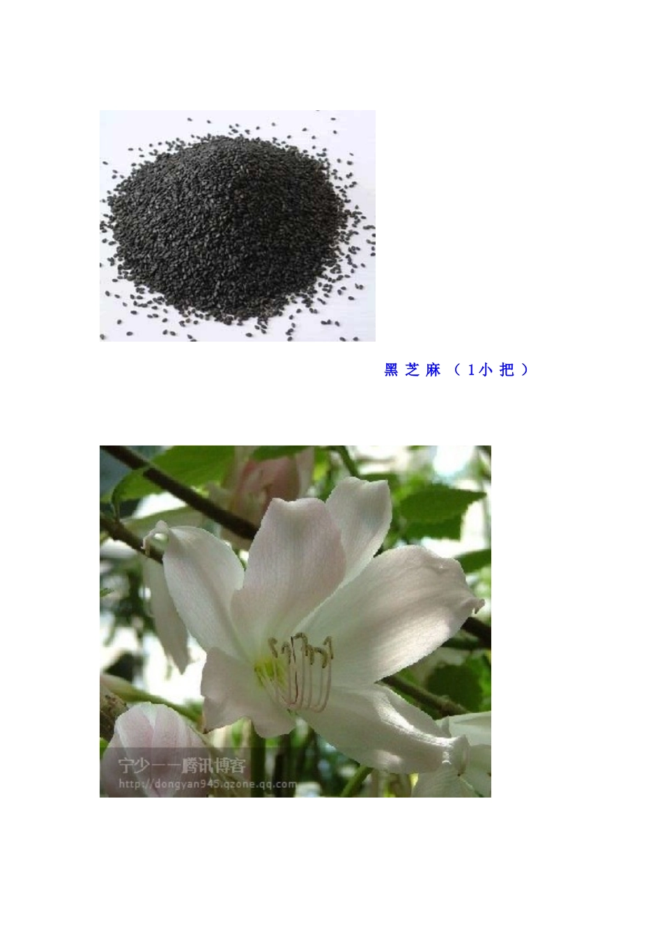 请每天吃一碗：试试效果如何 头发变黑秘方_第3页