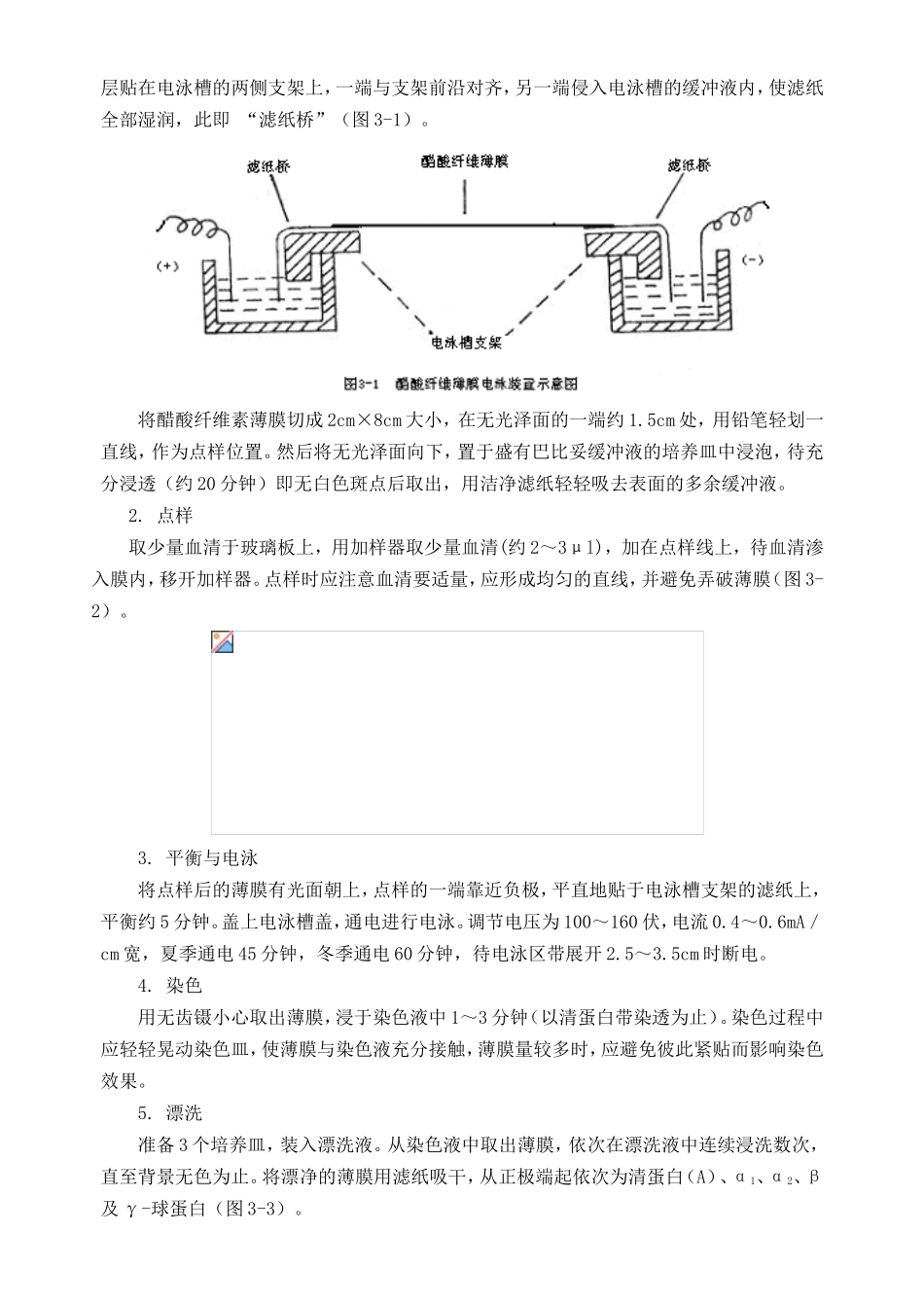 实验三  血清蛋白醋酸纤维素薄膜电泳 实验报_第2页