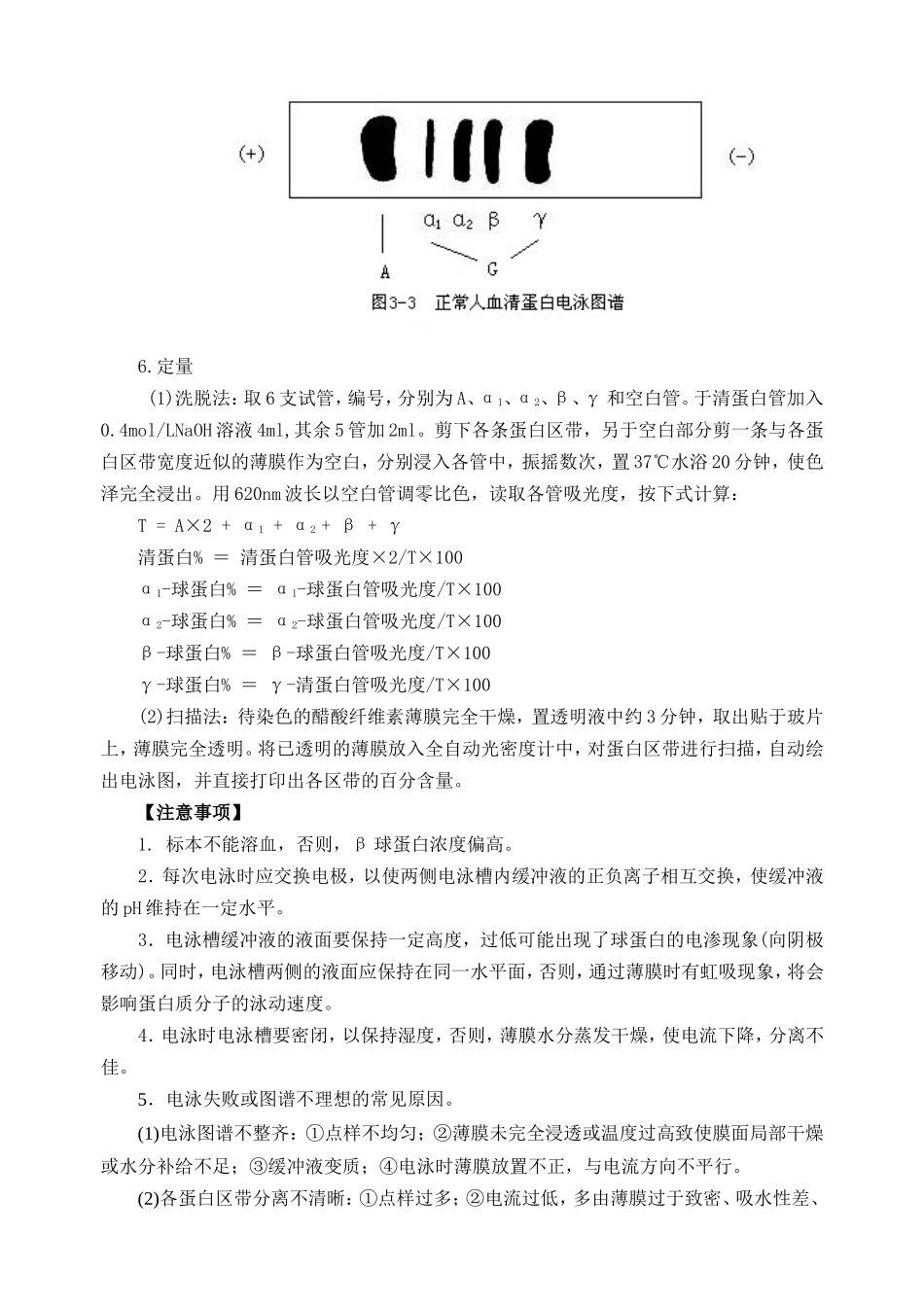 实验三  血清蛋白醋酸纤维素薄膜电泳 实验报_第3页