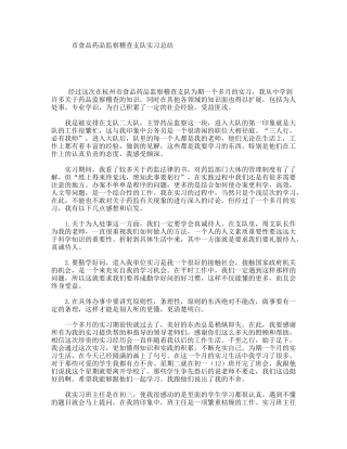 市食品药品监察稽查支队实习总结