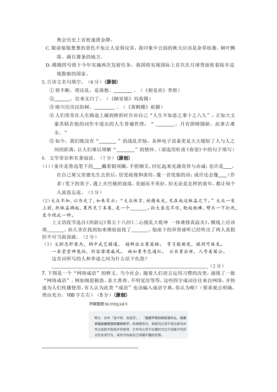 市中考模拟语文卷试卷_第2页