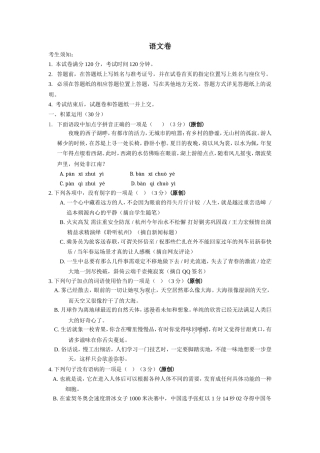 市中考模拟语文卷试卷