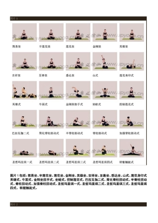 瑜伽各种姿势训练图片