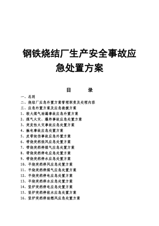 钢铁烧结厂生产安全事故应急处置方案
